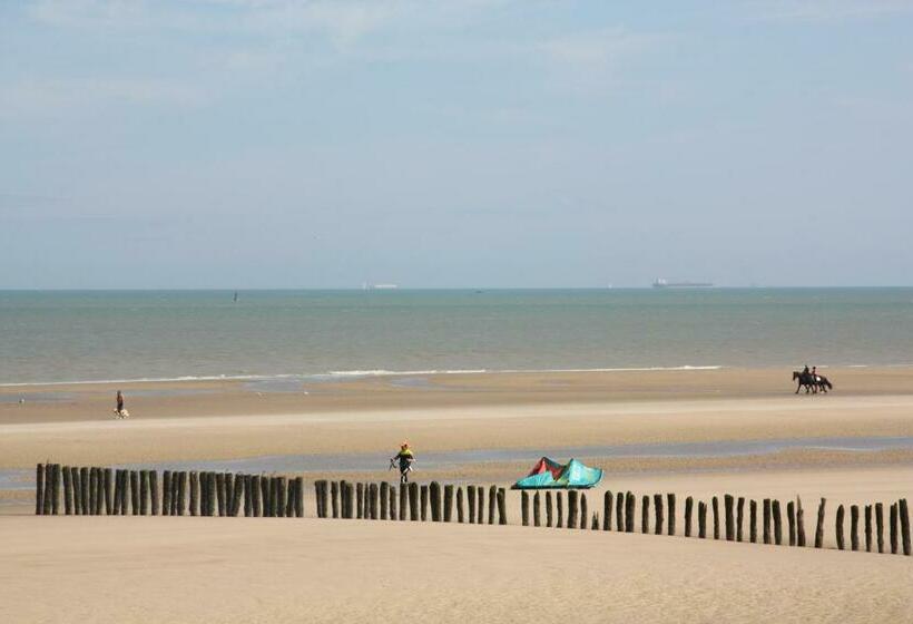 פנסיון ô De Mer   à 20m De La Plage