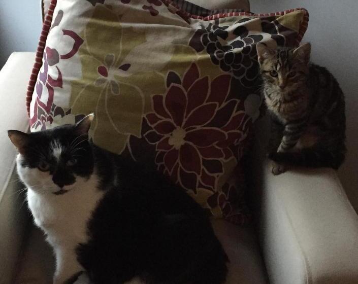 ベッドアンドブレックファースト Vingt Vieux Bourg