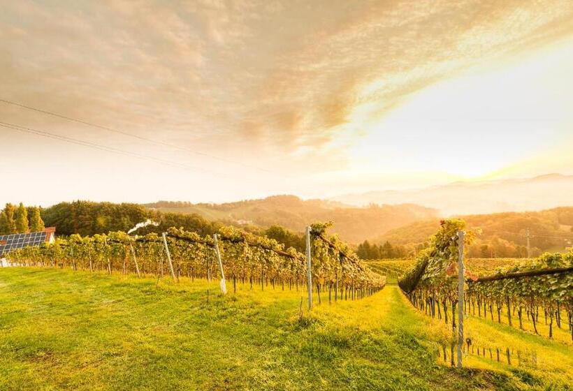 هتل Weingut Wohlfühlzimmer Adam Lieleg