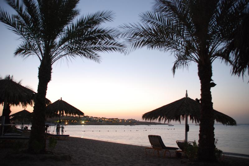 Delta Sharm Resort ,official Web, Delta Rent, Sharm El Sheikh, South Sinai, Egypt