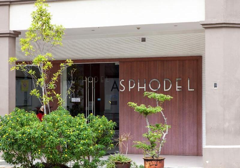 هتل Asphodel Inn