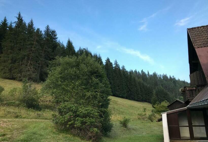 호스텔 Café   Pension Bernreutehof