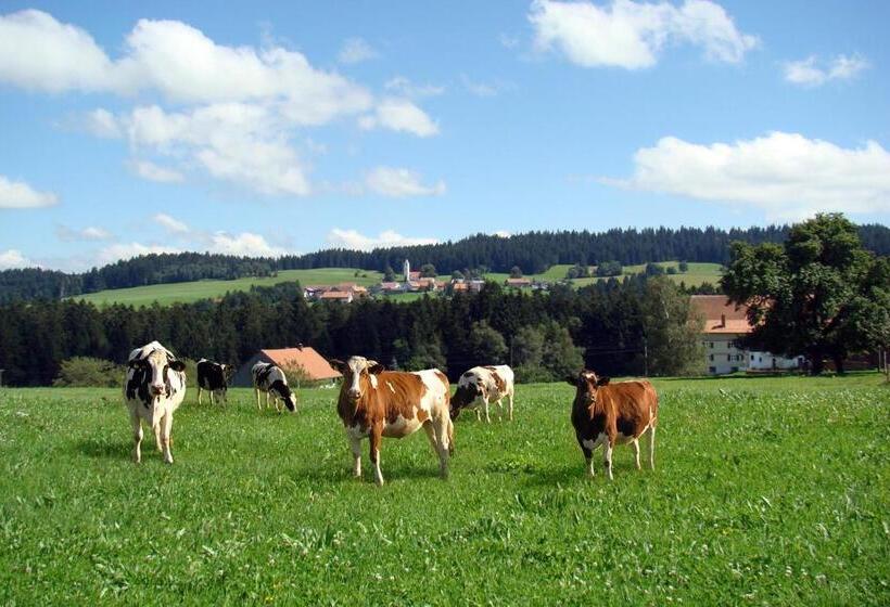 Отель Bio Bauernhof Heidegger