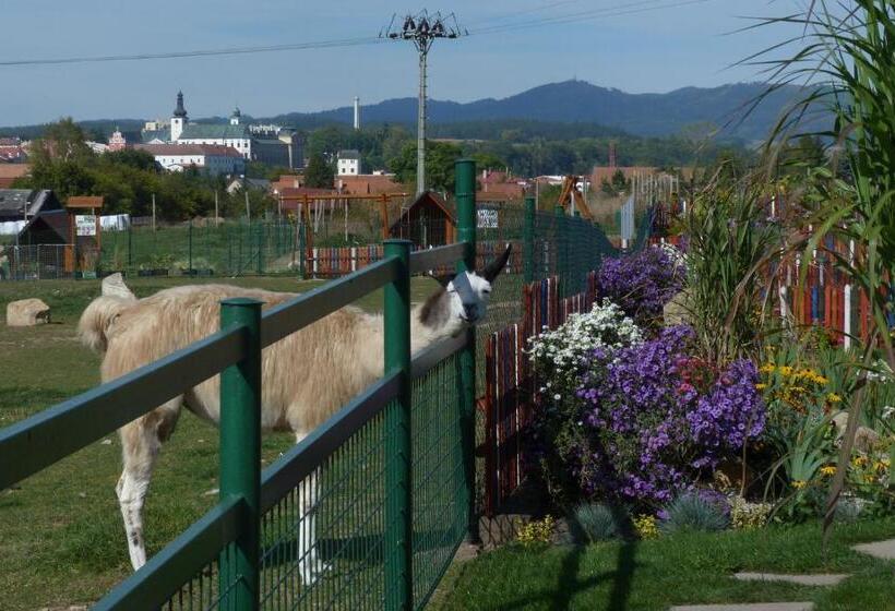 Отель Farma Wenet