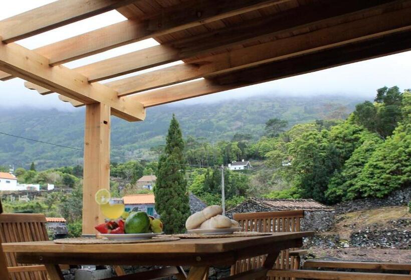 Pansiyon Pico Formoso Vínea Lava Alojamentos Pico