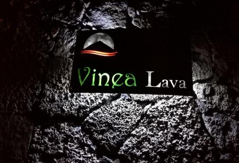 Pansiyon Pico Formoso Vínea Lava Alojamentos Pico