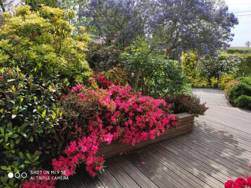 Bed and Breakfast Les Chambres Des Badious