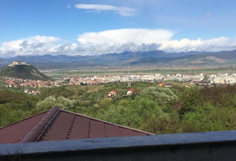 پانسیون Hanu Lu Mos Opinca