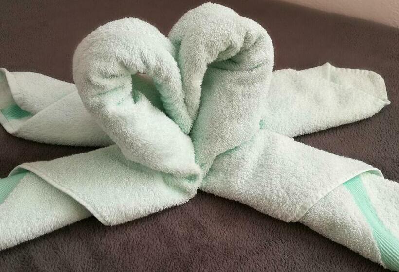 بنسيون Lasserhof