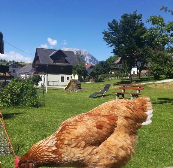 بنسيون Lasserhof