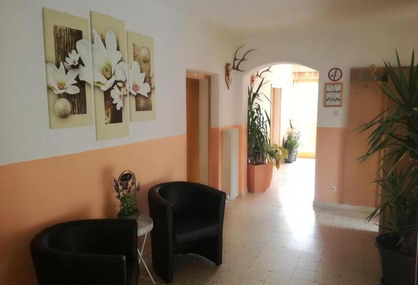 بنسيون Lasserhof