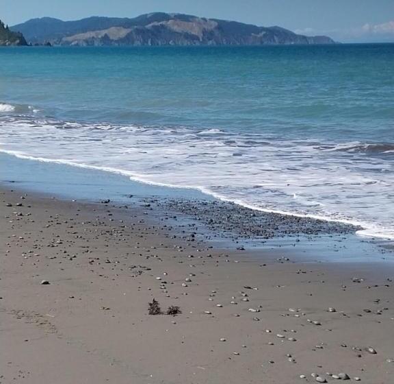 Rarangi Seaview On The Beach B&b
