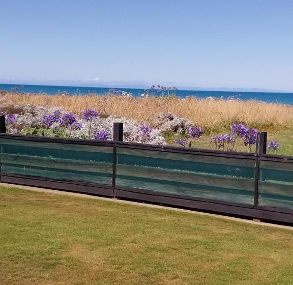 Rarangi Seaview On The Beach B&b
