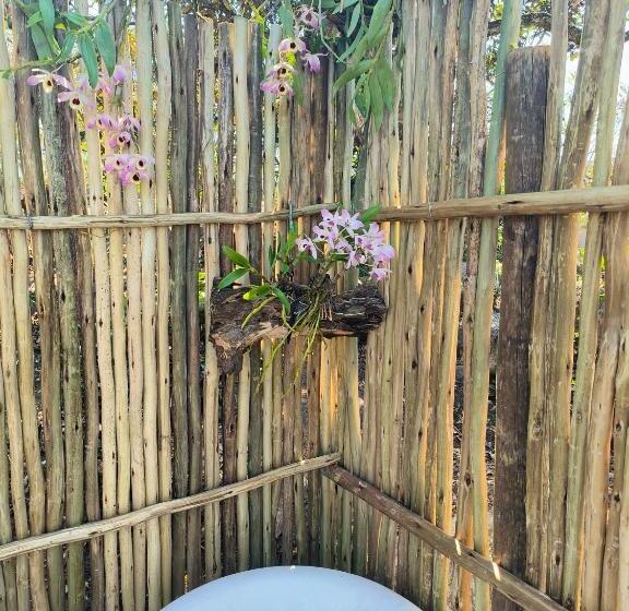 住宿加早餐  Eloff Guest House And Gallery