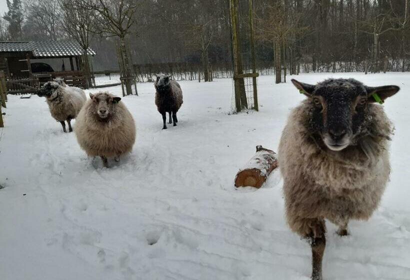 צימר Hoeve Op Vollenhof
