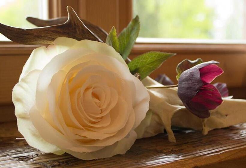 Pension Gerstenbrand