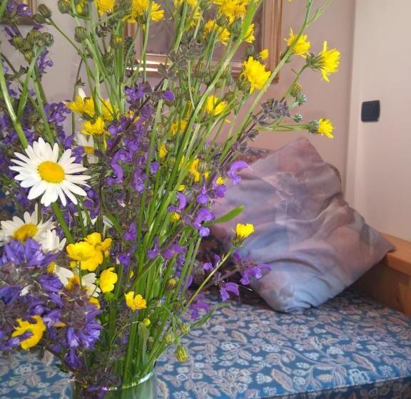 تختخواب و صبحانه Cianbolpin Guesthouse