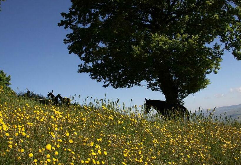 Отель Agriturismo Il Regio Tratturo