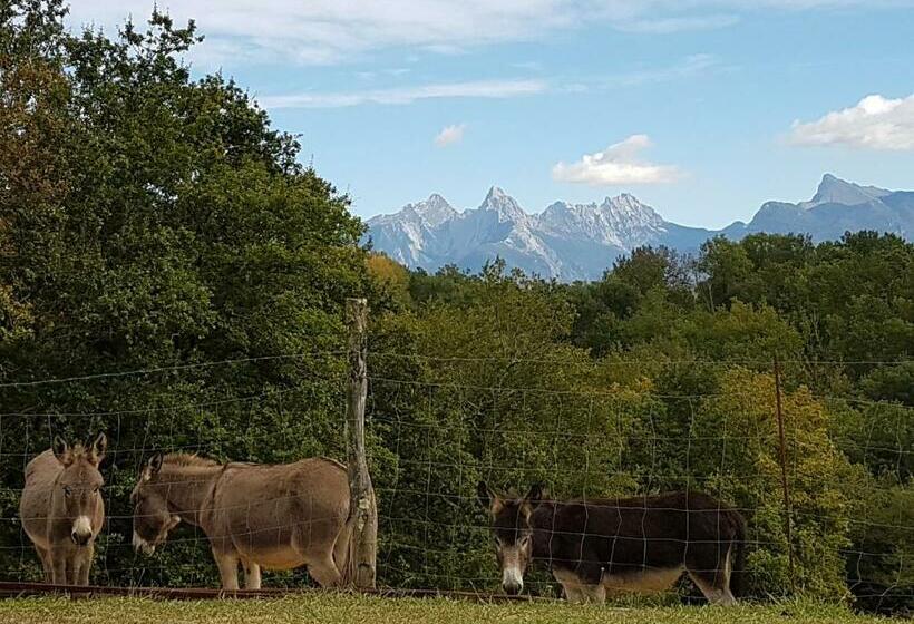 Отель Agriturismo La Selva