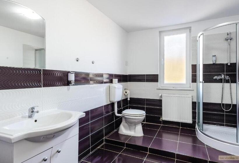 پانسیون Sweet Home Bucovina Frasin Petreceri Private Si Majorate