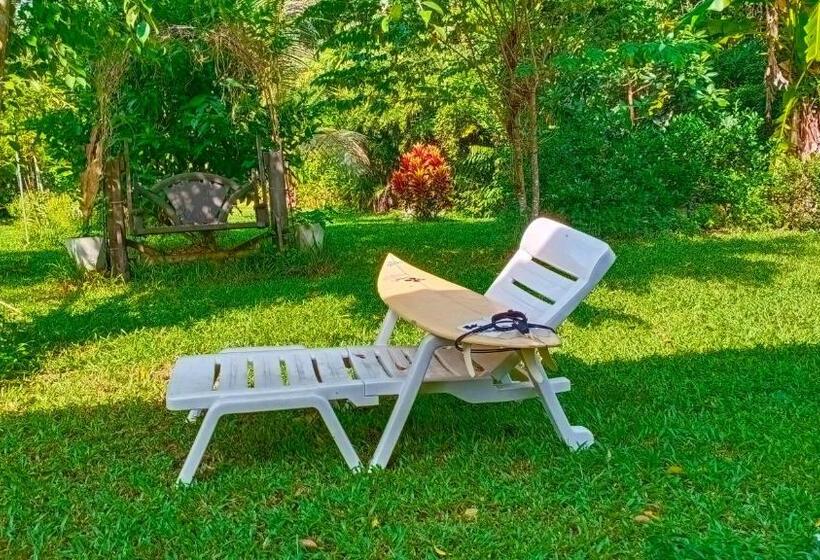 Hospedaria Nananuira Apartment And Room