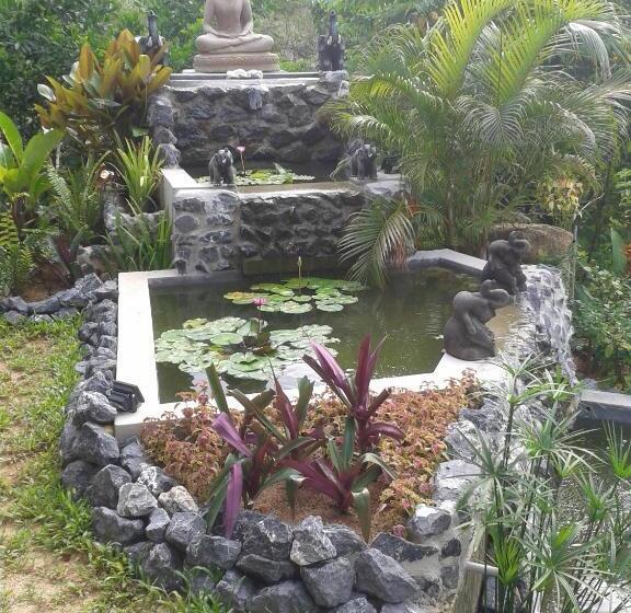 Hospedaria Nananuira Apartment And Room