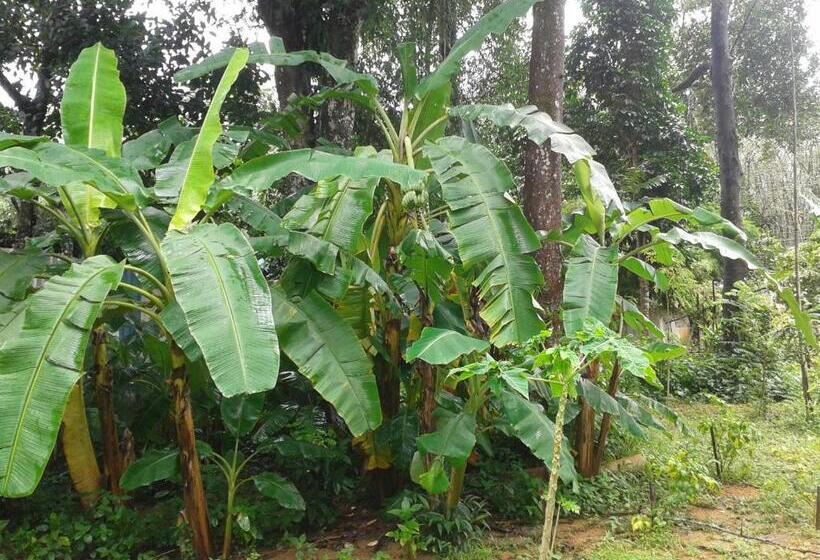 Hospedaria Nananuira Apartment And Room