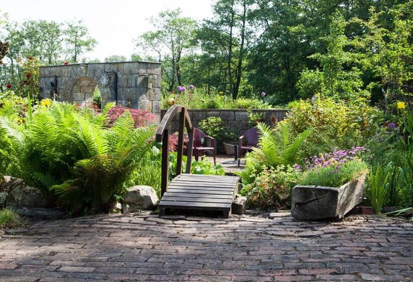Bed and Breakfast De Wiede Blik