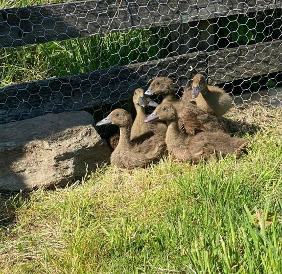 住宿加早餐  Garrison Of Inversnaid Farm With Hot Tub