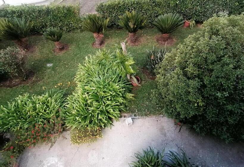 B&b Cilento Paestum
