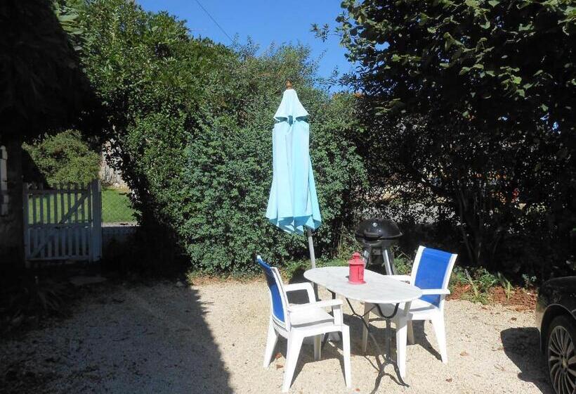 צימר Chat Noir Gite Et Chambre D Hotes