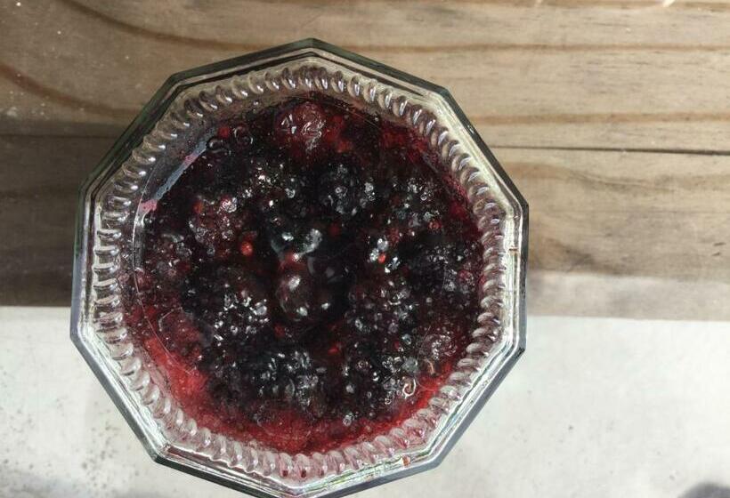 Bed and Breakfast L Ancien Presbytère D Ardevon