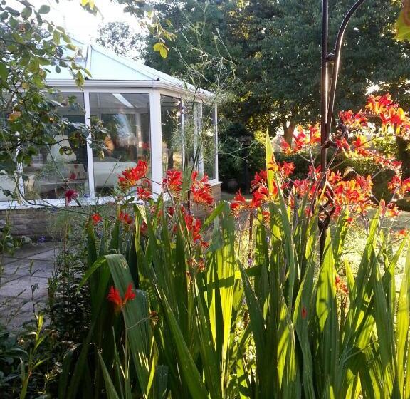 Folly Studio Bed And Breakfast