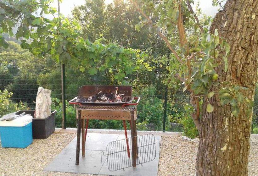 בית מלון כפרי Agriturismo Nonni Devia