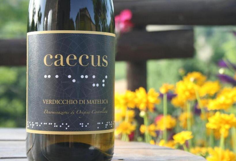 בית מלון כפרי Da Foschetta