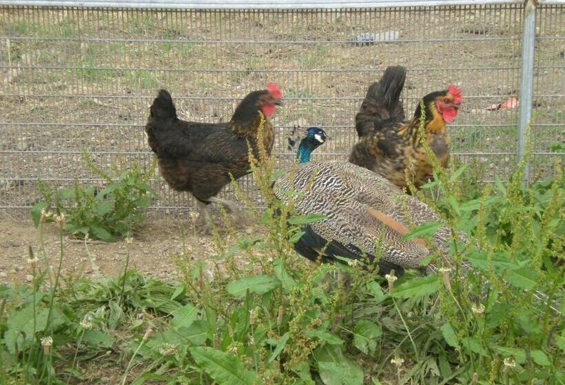 צימר Domaine De Kerbillec