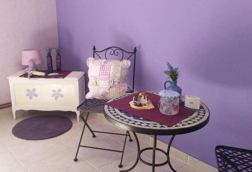 Bed and Breakfast La Vigne Des Heures Claires