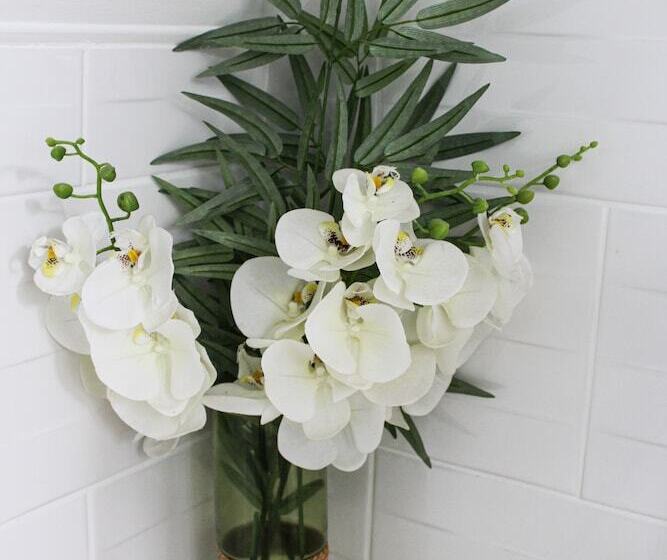 민박 Rêve Champenois Chambres D Hôtes