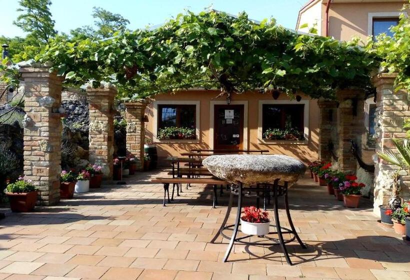 پانسیون Penzion Moravská Oáza