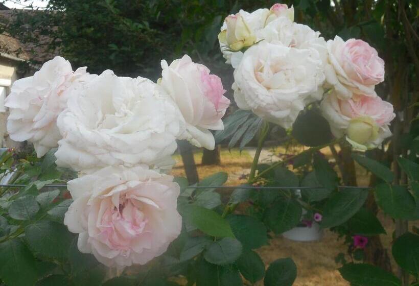مبيت وإفطار Les Rouches