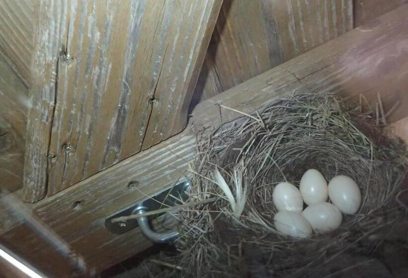 住宿加早餐  Mas De La Boheme   L Hermet