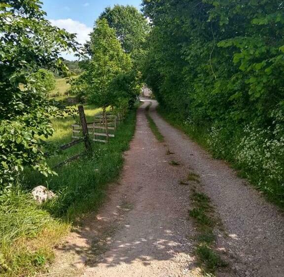 住宿加早餐  Mas De La Boheme   L Hermet