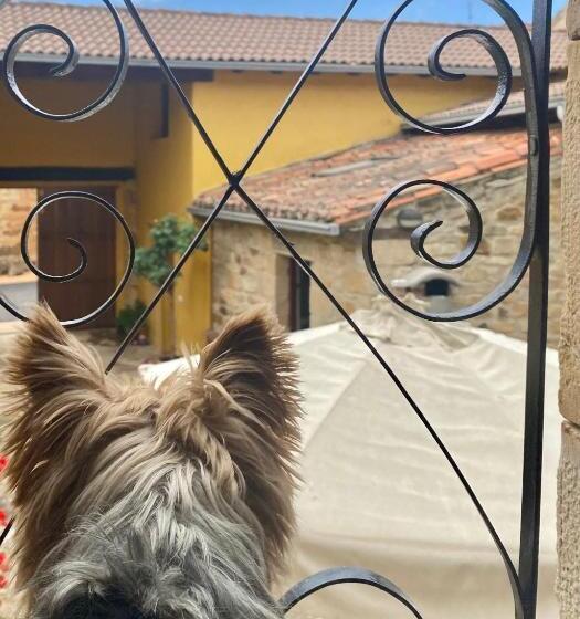 Bed and Breakfast Peñasalve