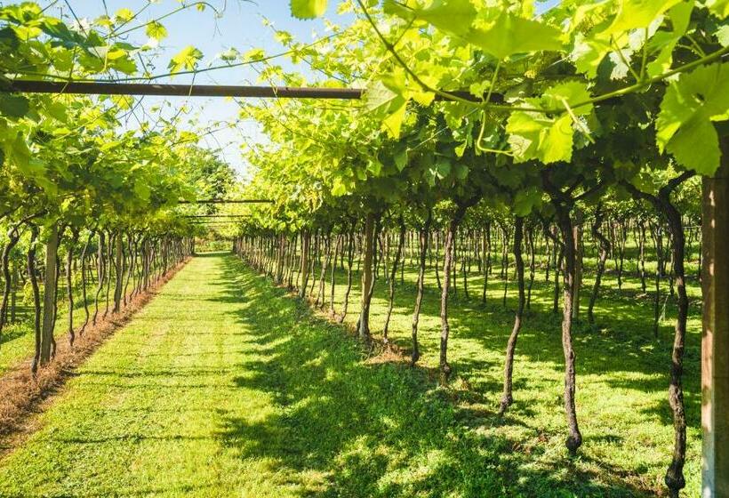 مبيت وإفطار Relais Des Roches