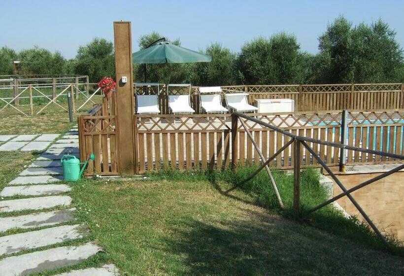 فندق Agriturismo La Casa Della Lavanda   Il Rustico