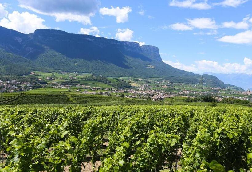 تختخواب و صبحانه Appartements Weisshauserhof
