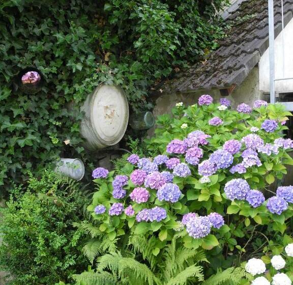 ベッドアンドブレックファースト Villa Luzia