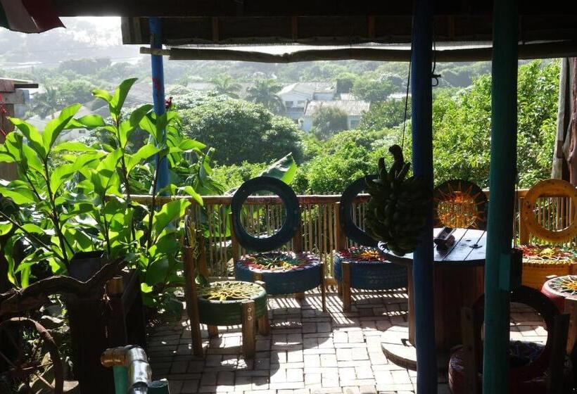 Eagles Nest Hostel Plus Self Catering Private Units