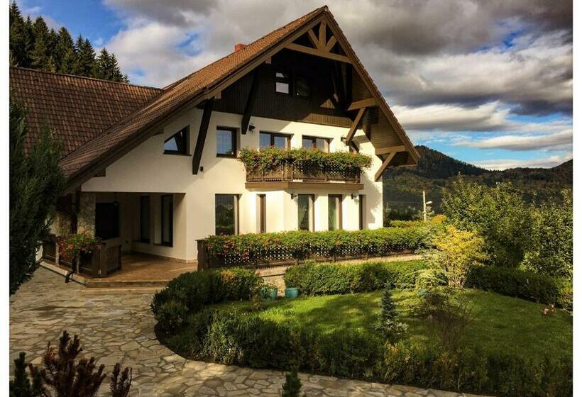 Pensiunea Drumul Plutasilor