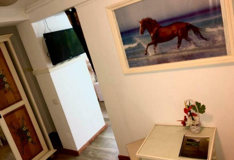 بنسيون Vila Horia Bradet